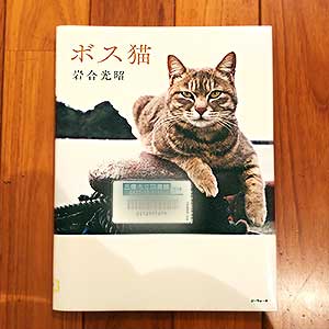 ボス猫,2021/3/26岩合光昭 (写真)ジーウォーク