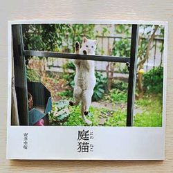 猫好きさん集まれ庭猫 (日本語) 単行本2015/9/11 安彦幸枝 (著)
